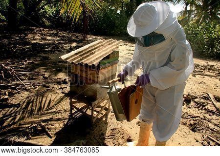 Eunapolis, Bahia / Brazil - May 11, 2009: Beekeeper Is Seen Next To The Bee Hive In The City Of Euna