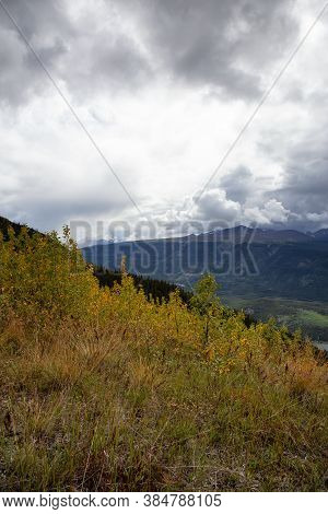 Colorful Meadow Fields On Top Of Nares Mountain During Fall Season. Located In Carcross, Near Whiteh