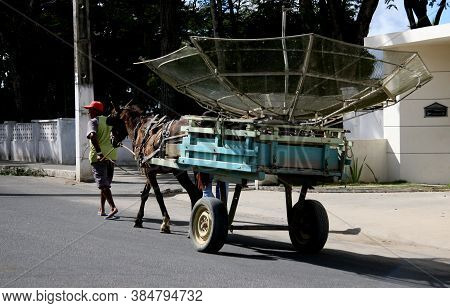 Eunapolis, Bahia / Brazil - May 31, 2008: Horse-drawn Cart Is Seen Transiting Palo Eunapolis City Ce