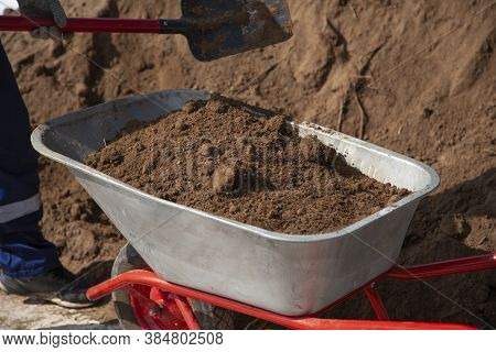 The Gardener Sprinkles A Flower Bed With A Shovel. Creation Of Landscape Design In The Garden. The M