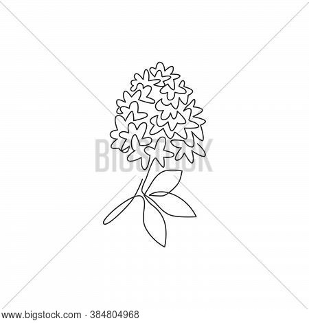 Single One Line Drawing Beauty Fresh Syringavulgaris For Home Decor Wall Art Poster Print. Printable