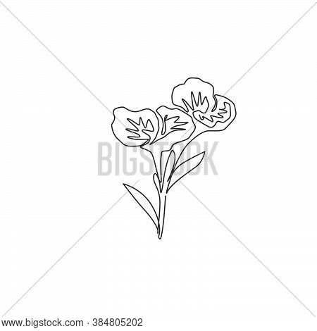 One Single Line Drawing Of Beauty Fresh Canna For Home Decor Wall Art Poster Print. Printable Decora