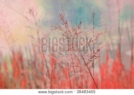 wunderschÃ¶ne, vertrÃ¤umte Hintergrund mit Gras