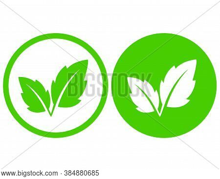 Natural Eco Green Leaves And Branch Icon