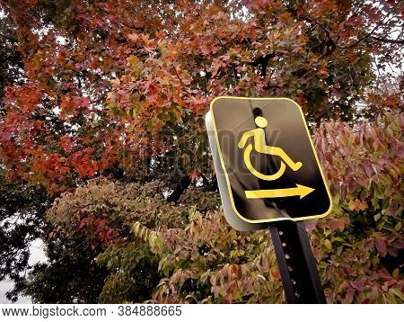 Outdoor Active Wheelchair Sign With Fall Leaves
