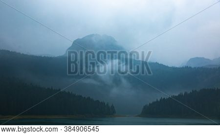 High Mountain In Fog, Coniferous Forests After Rain