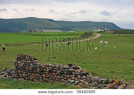 Ackerland in cumbria