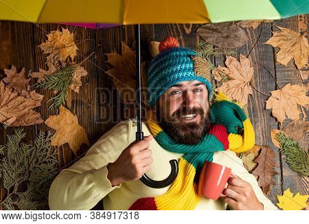 Time To Rest. In Love With Nature. Any Weather Is Good. Bearded Man Among Autumn Maple Leaves. Hipst