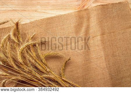Grains Isolated. Whole, Barley, Harvest Wheat Sprouts. Wheat Grain Ear Or Rye Spike Plant On Linen T