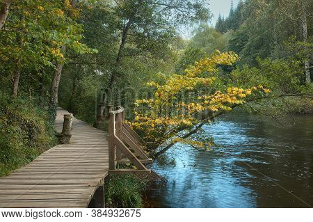 Cosy Wooden Path Along The River Bank Surrounded By Trees On An Autumn Sunny Day. This Path Located 