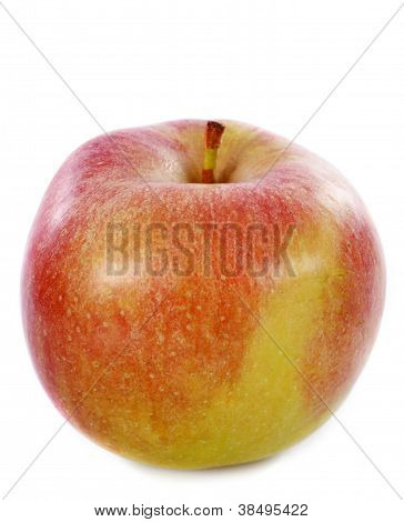 Gaia Apple