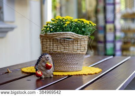 Kevelaer, Germany - Sept 5, 2020: Hedgehog With 2 Apples Before A Plant On A Wooden Table With A Blu