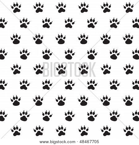 Traces of Dog.