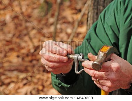 Robinet pour arbre