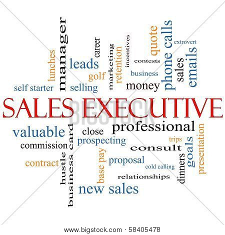 Sales Executive Word Cloud Concept