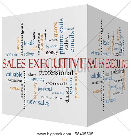 Sales Executive 3D Cube Word Cloud Concept