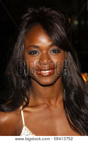 HOLLYWOOD - DECEMBER 06: Nzinga Blake at the premiere of 
