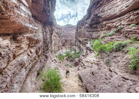 Quebrada De Las Conchas, Salta, Northern Argentina