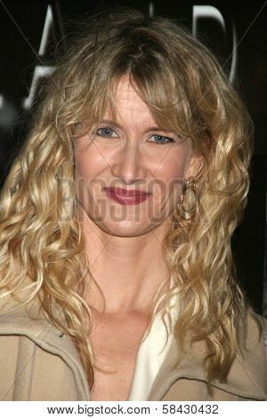 LOS ANGELES - DECEMBER 09: Laura Dern at the Los Angeles Premiere of Inland Empire at LACMA December 09, 2006 in Los Angeles, CA
