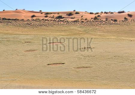Fairy Circles Near Sesriem