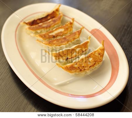 Homemade Asian Vegeterian Potstickers with soy sauce and pork