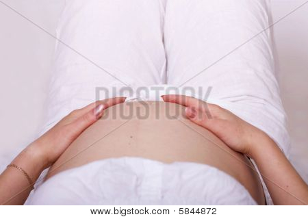 Gravid