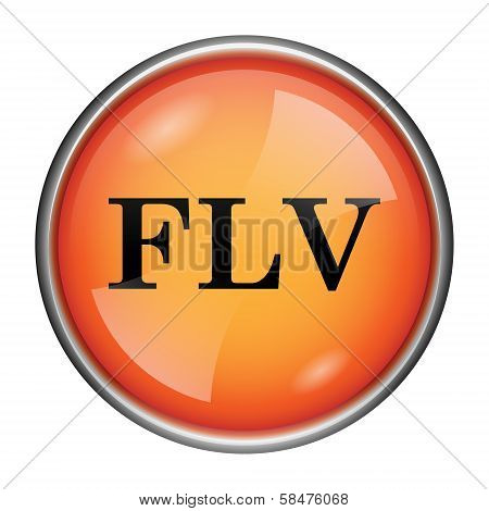 Flv Icon