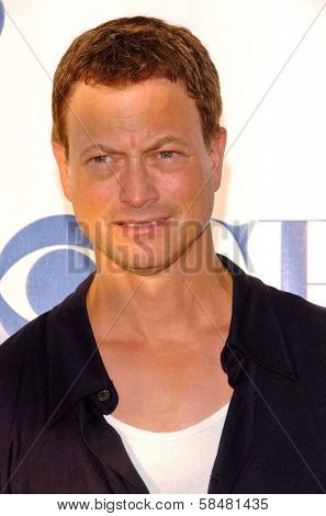 PASADENA - JULY 15: Gary Sinise at CBS's TCA Press Tour at The Rose Bowl on July 15, 2006 in Pasadena, CA.
