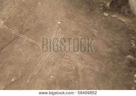 Nazca Lines - Hummingbird