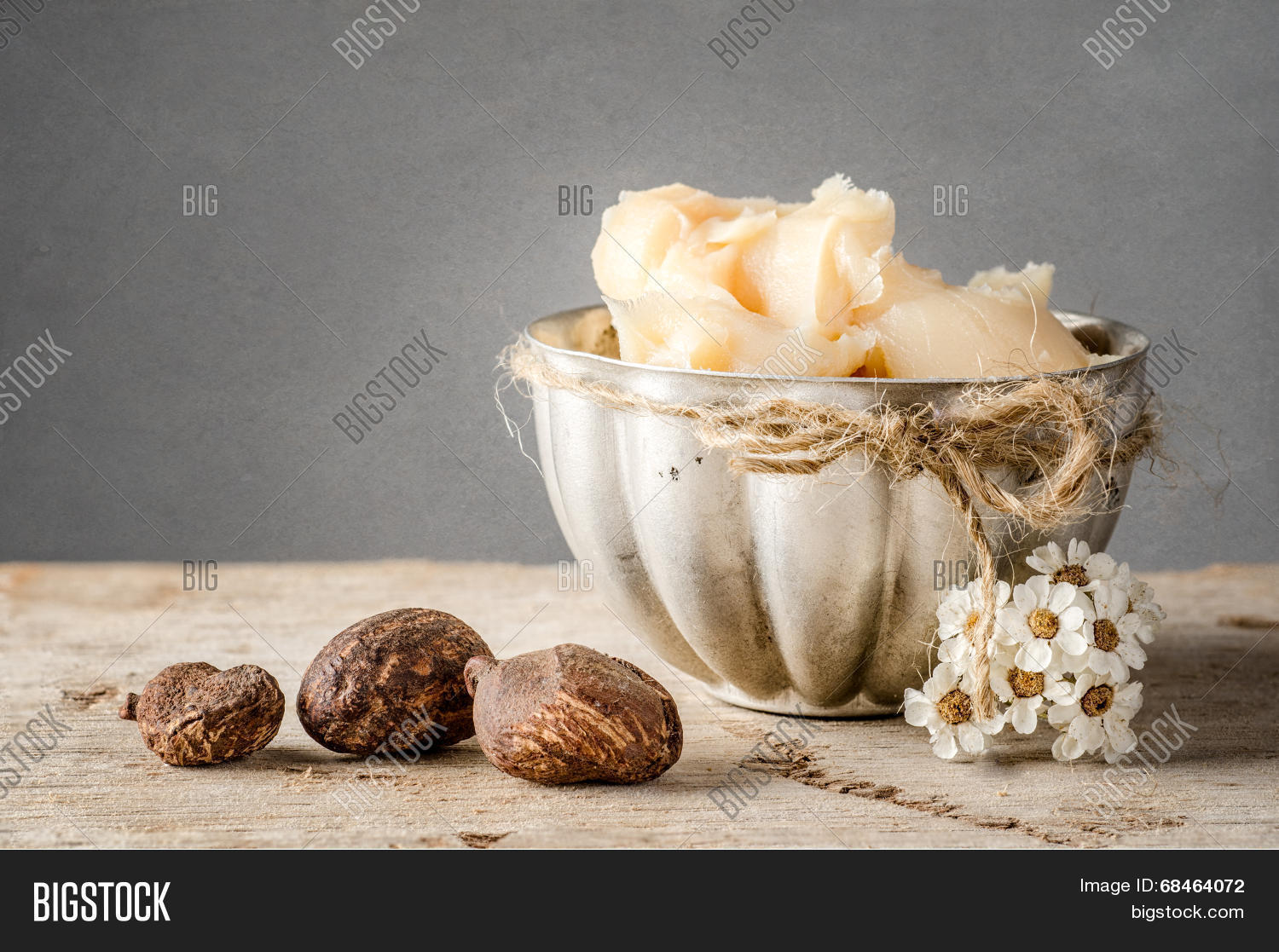 Shea Butter Nuts Image & Photo (Free Trial) Bigstock