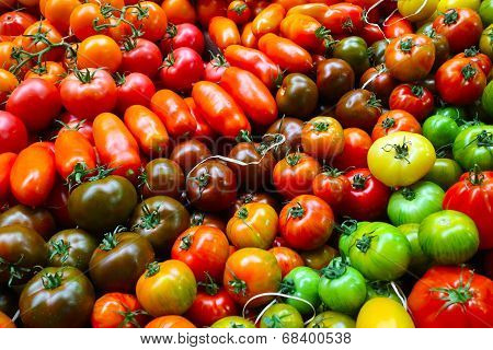 Variety of tomatoes