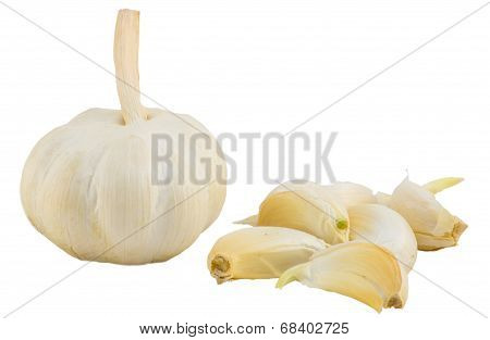 Garlic Isolate