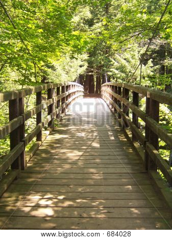 Brücke