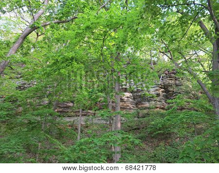 Box Canyon and beautiful spring time trees at Starved Rock State Park