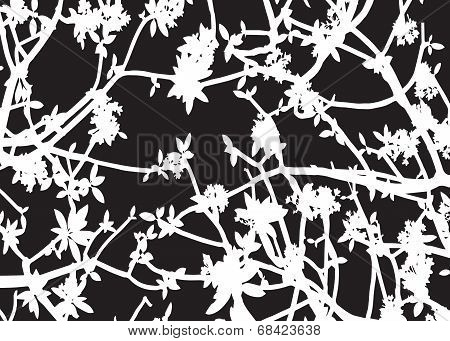Silhouette White Leaves Black Background Vector