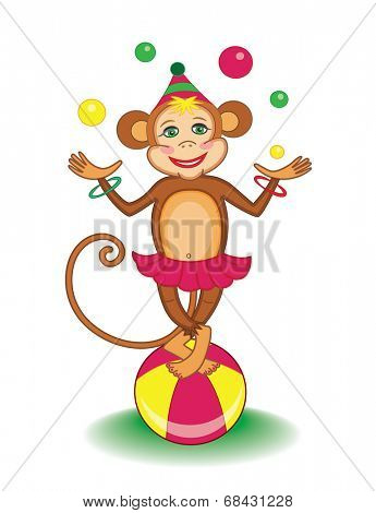 cute circus marmoset (vector illustration for children's books)