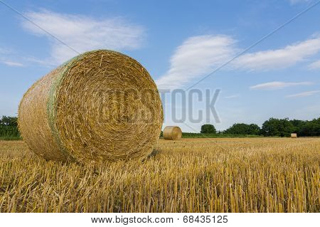 Landscape And Hay Bale