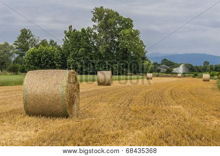 Hay Bales And Tractor