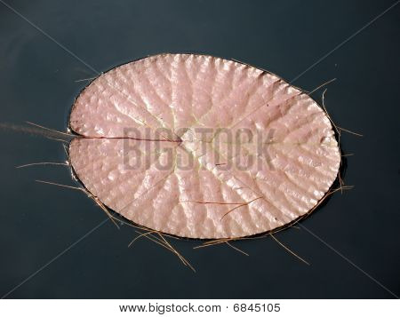Voda talíř