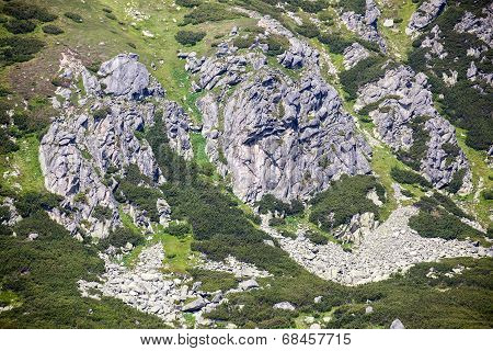 Nature In High Tatras, Slovakia