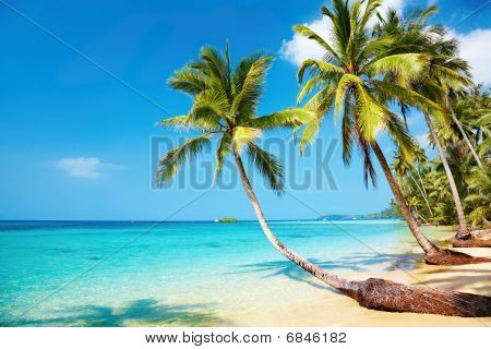 Tropical Beach
