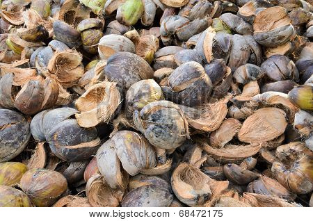 Pile Of Coconut Shell