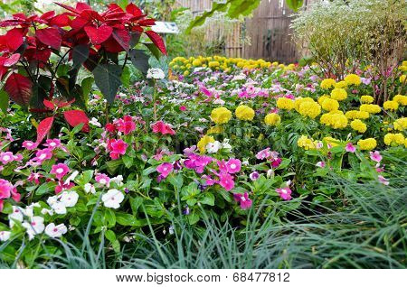 Flower Garden