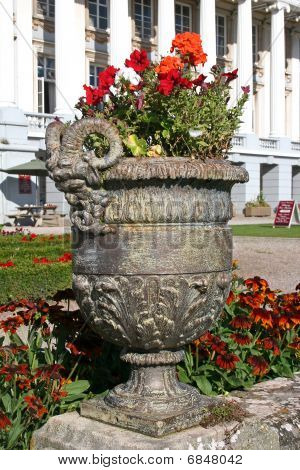 blomst urne