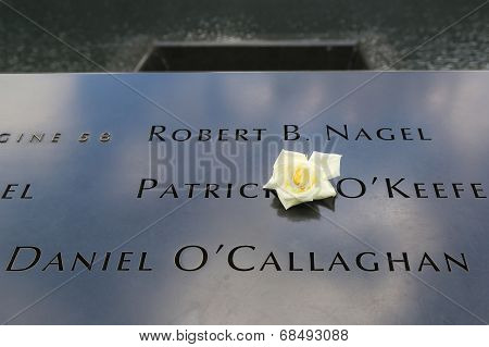 Flower left at the National 9/11 Memorial at Ground Zero in Lower Manhattan