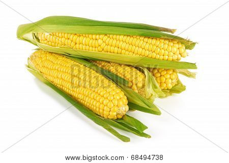 Corn
