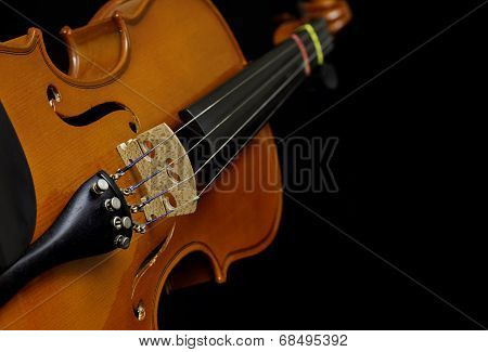 Violin On Black