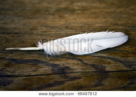 Feather and a wooden structure