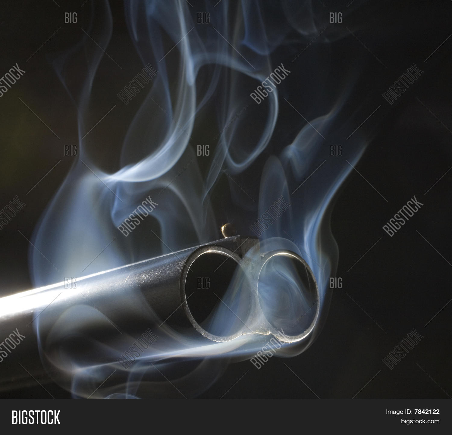 Smoking Guns Image & Photo (Free Trial) | Bigstock