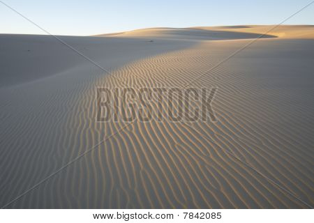 Port Stephens Sanddunes